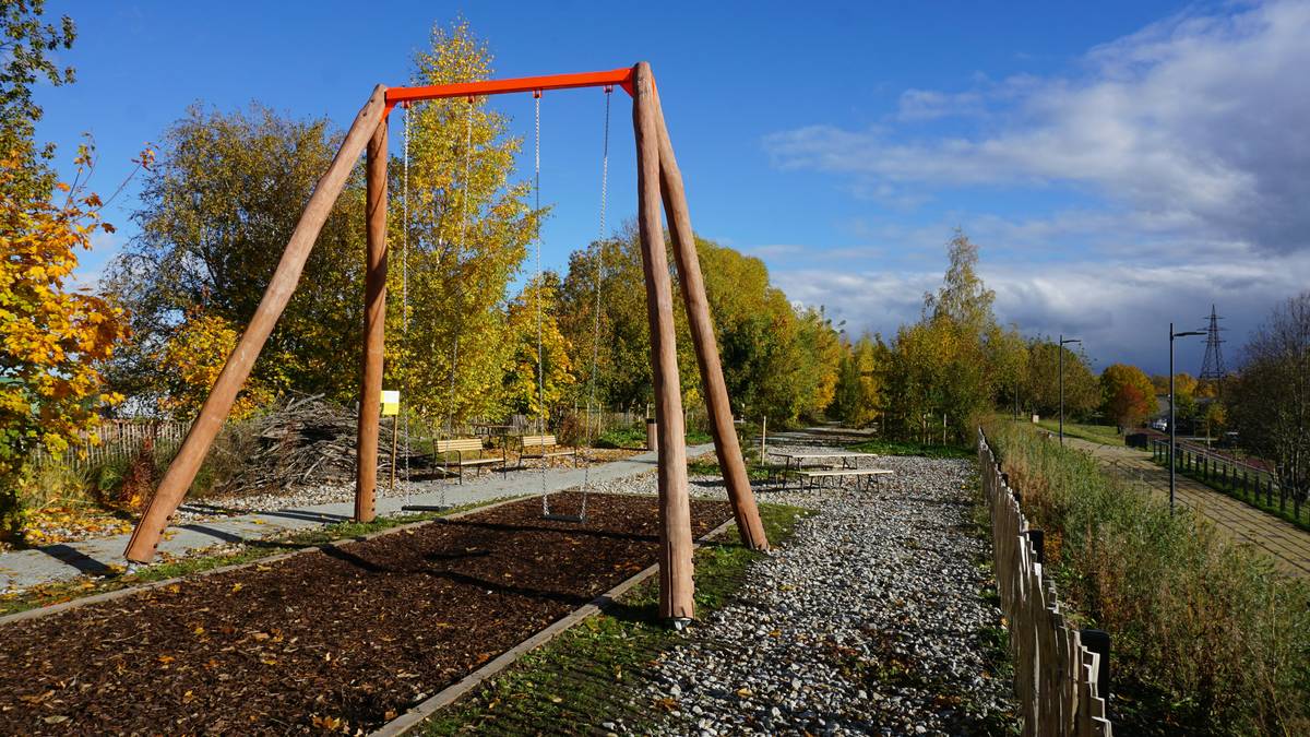 Comparison chart showing cedar, teak, and cypress durability ratings for outdoor swings